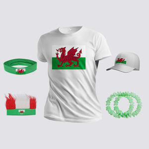 <span class=keywords><strong>Drapeau</strong></span> du Pays <span class=keywords><strong>de</strong></span> Galles 3x5 pieds 100% polyester prêt à être expédié prix d'usine bas <span class=keywords><strong>drapeau</strong></span> du Pays <span class=keywords><strong>de</strong></span> Galles - Product Image 6