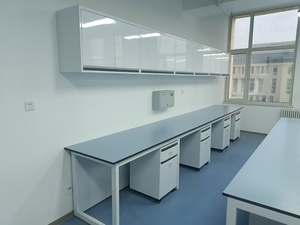 Modulare Moderne Epoxidharz Industrie- und Gewerbe-Arbeitsplatte Werkbank für Krankenhaus, Schule, Werkstatt, Labor - Anpassbare Schubladen - Product Image 2