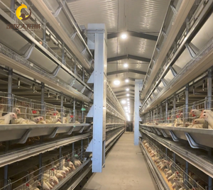 Cage à poulets <span class=keywords><strong>de</strong></span> type H avec compartiments bien proportionnés : un design qui aide les agriculteurs à obtenir des rendements économiques plus élevés sur des terres agricoles limitées - Product Image 3