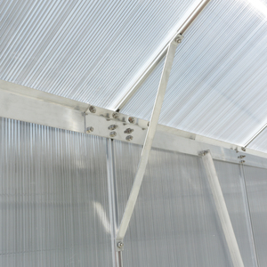 La serre en polycarbonate cultive des légumes toute l'année maintient un climat parfait en hiver - Product Image 4