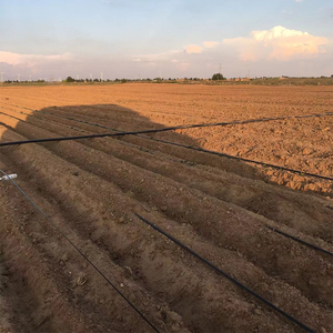 Ad alta pressione 20mm stella tubo di irrigazione a goccia 33 CM PE materiale stampo servizio di lavorazione <span class=keywords><strong>per</strong></span> l'agricoltura - Product Image 4