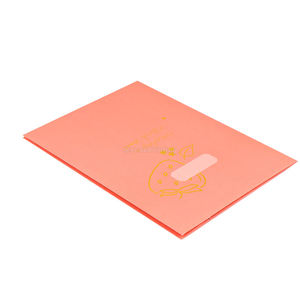 Custom Foil Stamping Logo Design Print Business <b>A4</b> A5 Presentation <b>Folder</b> Document Paper Files <b>Folders</b> With Pockets - Product Image 3