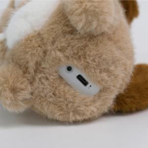 Juguete de Peluche Inteligente con IA para Perros, 66 Idiomas, 16CM, Poliéster, Logotipo Personalizado, OEM, ODM, Juguetes Educativos Interactivos para Niños - Product Image 3