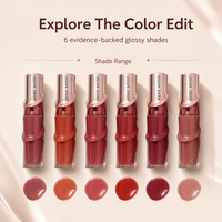 Gloss à lèvres repulpant bio longue tenue en gros, effet naturel, formule hydratante, colorant style coréen, en stock pour usage quotidien
