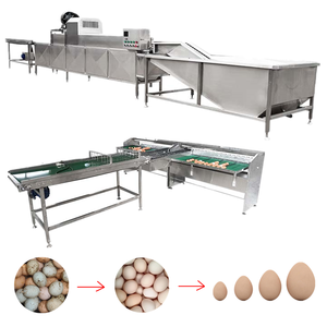 Laveuse et trieuse d'œufs en acier inoxydable pour volailles, canards et poulets, machine de nettoyage des coquilles d'œufs et de pesage - Product Image 1