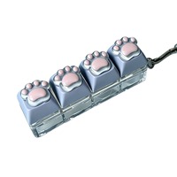 Vente en gros usine : Porte-clés anti-stress à lumière LED, clavier mécanique, fidget clicker, patte de chat
