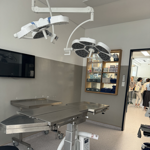 TX04-LED5 सर्जिकल लाइट छत की बढ़ती ऑपरेशन लाइट लाइट लाइट परीक्षा लैंप की अगुवाई वाली सर्जरी रोशनी - Product Image 3