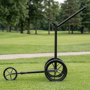 Nuevo BIG MAX E-Trolley E-Lite 3 DG500, Carga Máxima de 30 kg, Velocidad de 16 km/h, Batería de Litio, Control Remoto, EE. UU. - Product Image 2