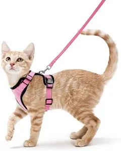 Pet Supplies Dog Cat Harness Vest New Custom Puppy dog cat Leash Nylon Breathable Reflective Kitten Walking Lead Rope Set