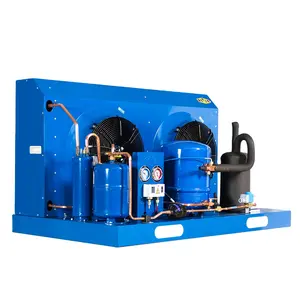 Condensing Unit Evaporator Maneurop Compressor MT36 Refrigeration Cooling System For Cold Room