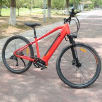 Nouveau 250W Mid Motor Electric Mountain Bike 10S Dérailleur 36V13A Frein À Disque Hydraulique 27.5 ''Cadre En Aluminium Suspension Fourche Adulte