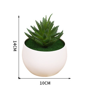 Mini plantas suculentas artificiales en maceta de Yiwu Datuo Florist, 14x10 cm, vegetación artificial para decoración del hogar y accesorios de fotografía. - Product Image 5