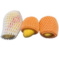 EPE Fruit Foam Net Cover