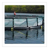 Cages flottantes en PEHD pour la pisciculture