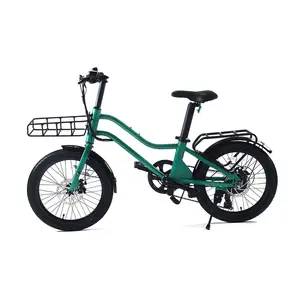 Bicicleta eléctrica sin cadena, personalizable, 2019, 20 pulgadas, venta al por mayor