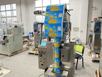 Équipement de remplissage de liquides pour sauces et vinaigrettes de précision WB-450J, machine de remplissage de sauce 1 kg