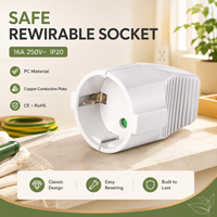 Prise 16A 250V~ IP20 Norme allemande, boîtier en PC ignifuge réutilisable, bandes conductrices en cuivre, CE ROHS pour prise électrique