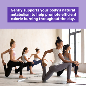 Best Selling Natural Herbal Supplements <b>Gummies</b> Women’s Weight Loss <b>Gummies</b> with Capsaicin Conjugated Linoleic Acid <b>Gummies</b> - Product Image 6