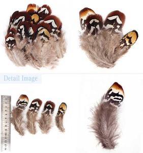 Plumas naturelles en gros Reeves plume de faisan petit motif brut pour l'artisanat bricolage montage de mouches à la main - Product Image 1