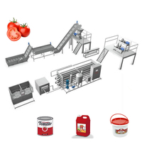1 ~ 25 Ton/Uur Food Grade Automatische Verse Ketchup Verwerking Tomatenpuree Productielijn Tomatenpuree Maken Machine