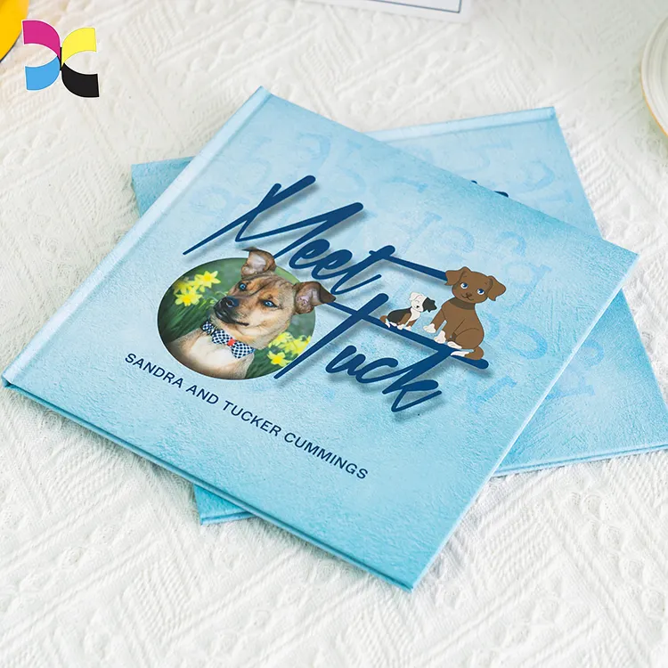 China-Fabrik Großhandel benutzerdefiniertes Kinderbuch Drucken Hardcover