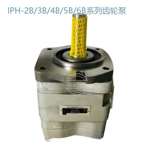 Shunjing Gear Pump IPH-2B/3B/4B/5B/6B Series Quantitative Booster Pump Hydraulic Pump Head - Product Image 5