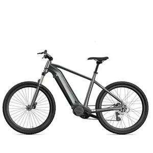 28inch mid drive electric bicycle 48V motor electric city bike hidden battery big power electric bike adult