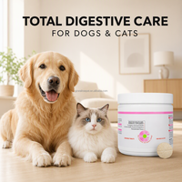 Comprimés à croquer pour chiens et chats, marque privée, probiotiques pour la santé digestive, kaolin, pectine, aide au bien-être, entretien intestinal, 240g