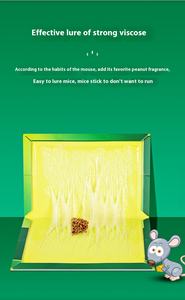 Inofensivo para los humanos Desechable Mouse Killer Glue Trap Sticky Rat Carton Board Mouse Trap Liquid Product Accessories - Product Image 6