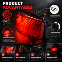 Lampu belakang WY