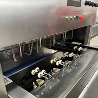 Commerciële automatische mangoschilmachine voor fruit en groenten, groene mangoschilmachine