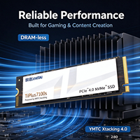 ZHITAI TiPlus7100S PCIe 4.0 NVMe 2.0 M.2 2280 SSD YMTC Xtacking 4.0 TLC Internal Solid State Drive 1TB 2TB 4TB