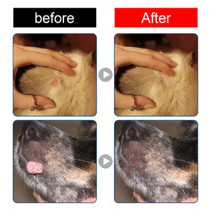 Removedor de <span class=keywords><strong>Verrugas</strong></span>, Callos, Papilomas y Lunares para Perros, Natural, Suave e Indoloro, Marca Privada Yegbong - Product Image 6