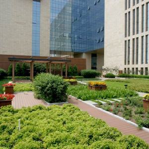 Jardins sur toit verts, jardinières pour toits verts SL-X5015, plateaux carrés en plastique pour fleurs - Product Image 5