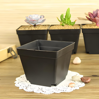 Pots de cactus succulents de pépinière en plastique grand noir clair transparent fente carrée