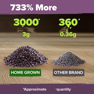 Kit de cerdas de flores de lavanda Premium cultivadas en el hogar 3000 flores silvestres de hierbas sin OGM para siembra de jardín interior/exterior alta tasa de germinación - Product Image 4