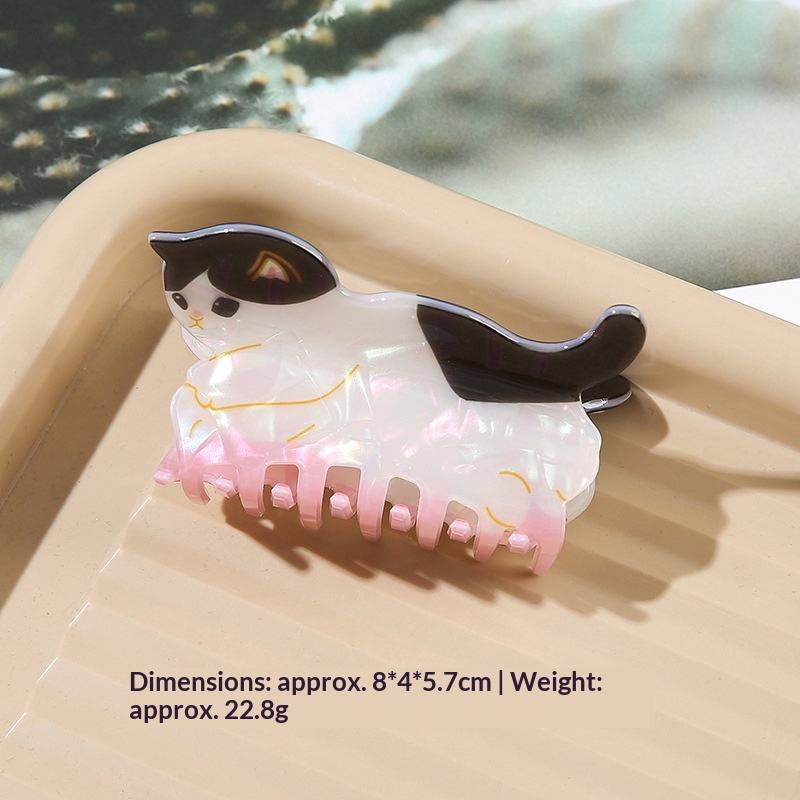 5-Chat noir et blanc