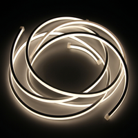Tira de LED de Silicona de Neón 1010 de Alta Eficiencia, Ahorro de Energía, Brillo Uniforme sin Puntos para Fachadas de Edificios y Decoración Comercial