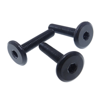 Usine personnalisée M3 M4 M5 M6 sus304 tête à six pans creux plat fraisé Torx fendu noir boulon Allen vis à métaux