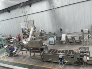 Séchoir industriel à grande échelle pour déshydrater les légumes, Machine pour déshydrater la poudre d'ail, usine de traitement - Product Image 2