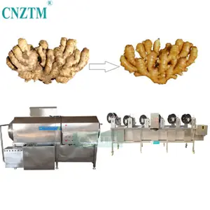 Otomatik ticari meyve ve sebze kuru zencefil makineleri zencefil soyucu kurutma kurutucu gıda için