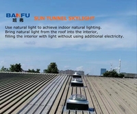 Fenêtres de toit isolantes thermiques pour greniers et balcons, type tunnel solaire, à longue portée, multi-angles, fixes, en plastique, très demandées en Europe