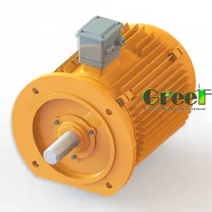 Générateur d'énergie magnétique à bas régime personnalisé GREEF 1KW 150RPM