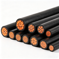 Kabel Daya Tegangan Rendah Youhui 0.6/1kV XLPE-Aluminium/Tembaga Selubung PVC IP65/IP67 Tahan Api (Kelas A/B) 6mm