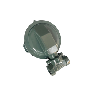 Régulateur de pression de gaz conçu pour maintenir une pression stable en aval dans les systèmes d'alimentation en gaz industriels - Product Image 3