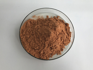 <span class=keywords><strong>Polvo</strong></span> de cacao alcalino, grado alimenticio, precio a granel - Product Image 3