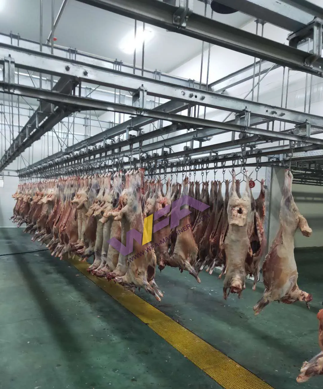 Projeto Turnkey Halal Slaughter House Line Matadouro De Cordeiro Com Equipamentos De Carneiro De Processamento De Carne De Carneiro