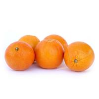 Zeste d'orange fraîche à haute teneur en vitamine C Goût sucré Citron vert citron pour motif de jus de fruits Agrumes frais Manger