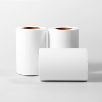 Etiquetas Adhesivas en Blanco, Etiquetas de Código de Barras con Revestimiento, Rollo de Etiquetas Térmicas Impermeables de 75*50mm para Supermercado