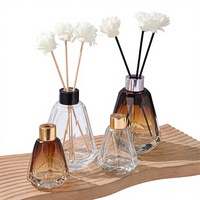 Diffuseur à roseaux en verre transparent avec bouchon, pour aromathérapie, ornement de salon et chambre, purification de l'air